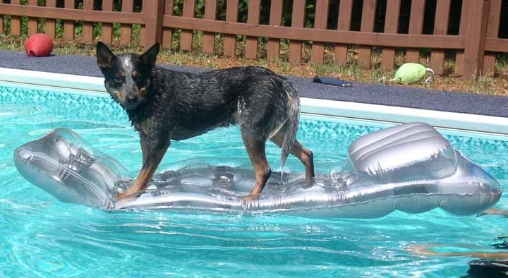 logan-raft.jpg