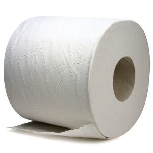 Toilet Paper Pictures, Images and Photos