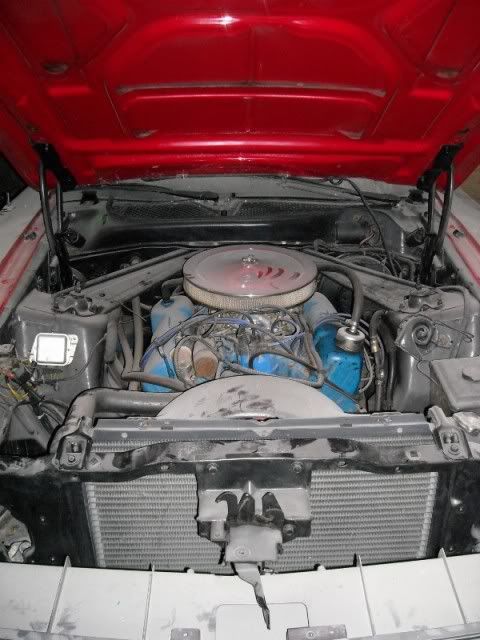 Could anyone help me to identify the engine - Ford Mustang Forum