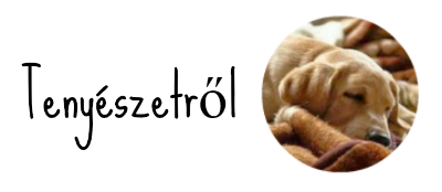 op