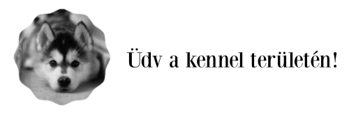 jj