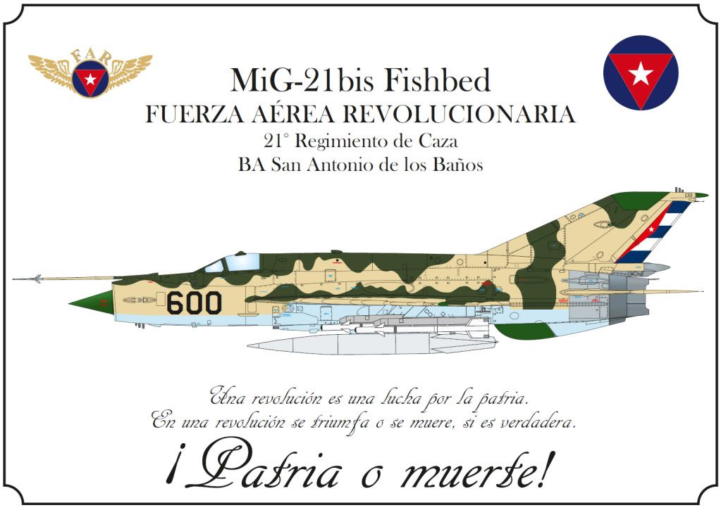 MiG-21bisDAAFAR600.jpg