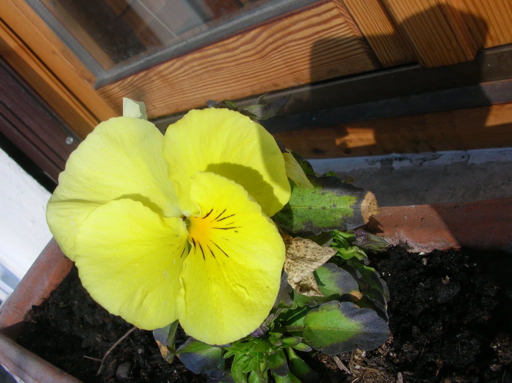 DSCN8973.jpg