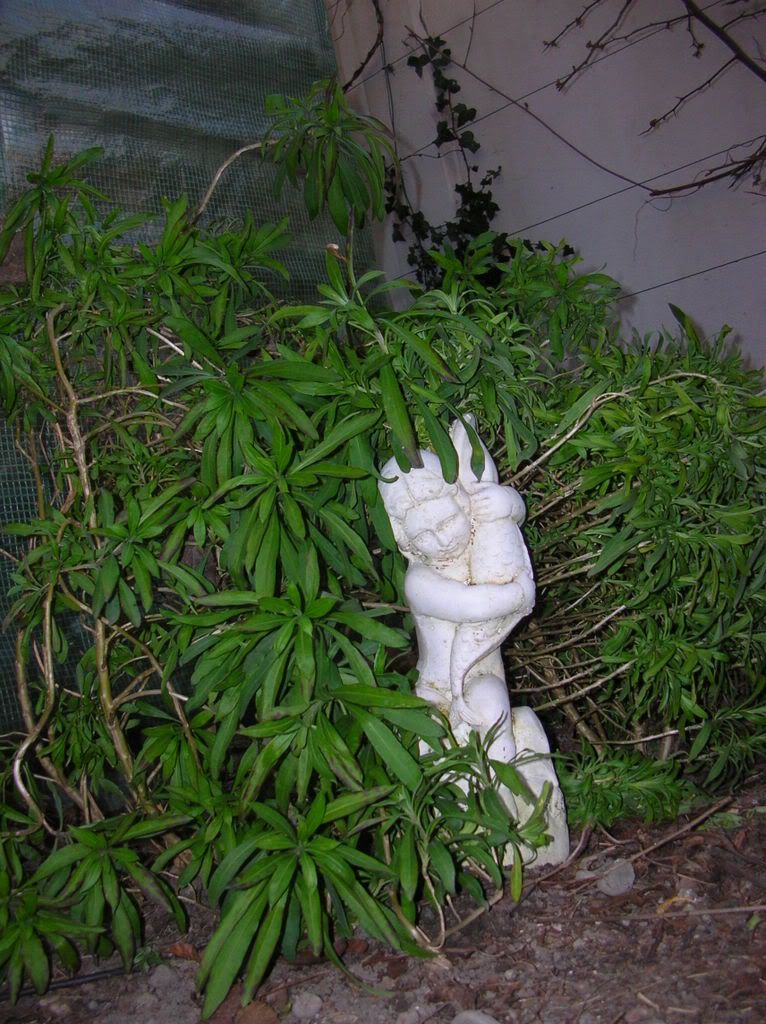 DSCN8977.jpg