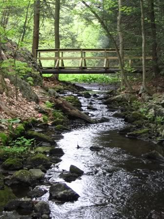 glenstream.jpg picture by judywoods