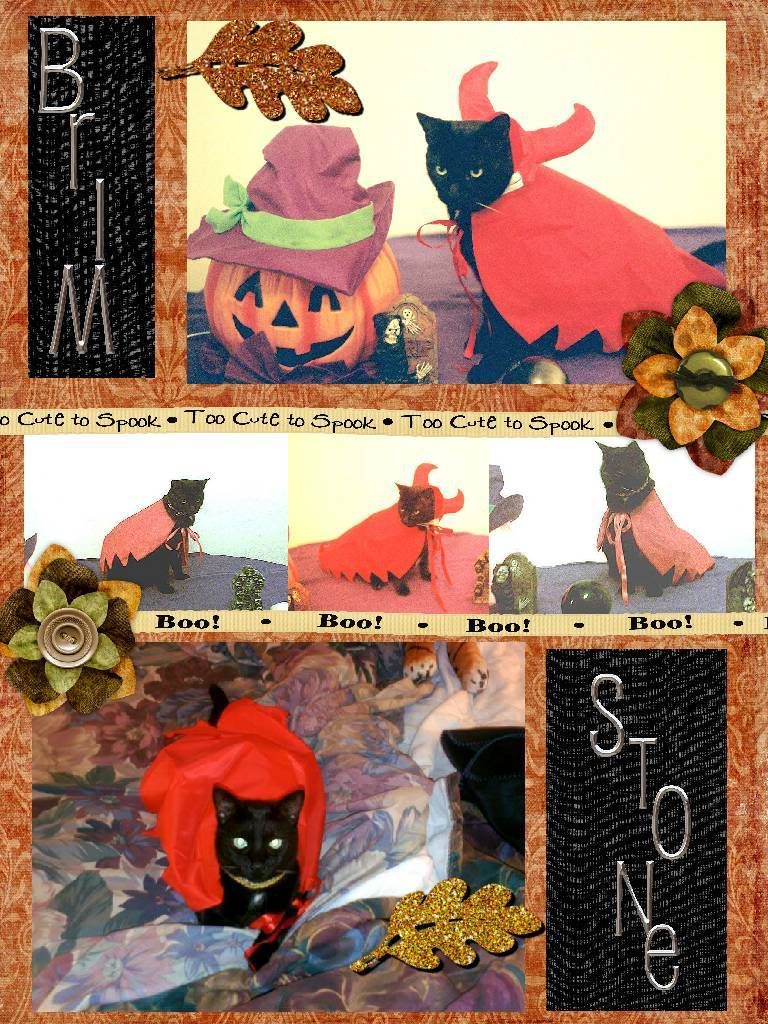 black cat,Diamond,scrapbook