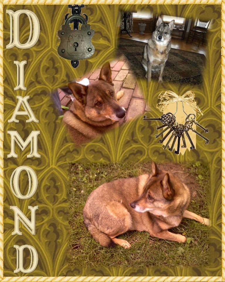 Diamond Dog