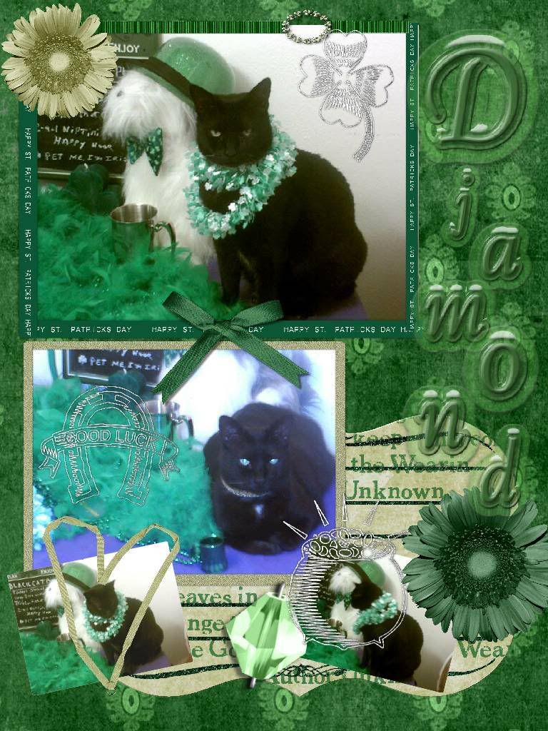 black cat,Black Cat Pub,Diamond,st patricks day,Scrapbook