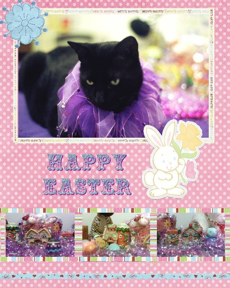 black cat,spring,Easter,Diamond