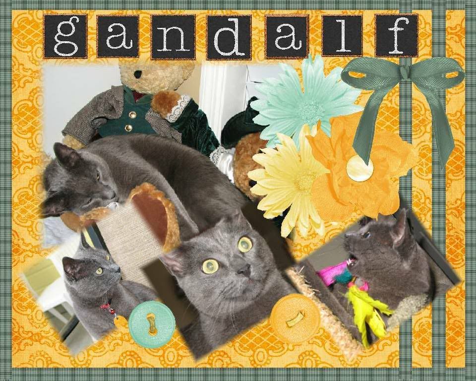 Gandalf