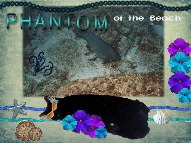 Phantom of the Beach