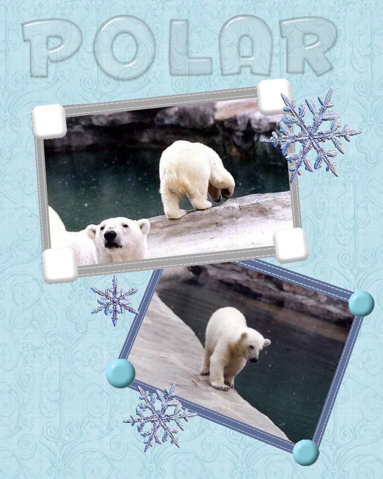 Pretty Polar