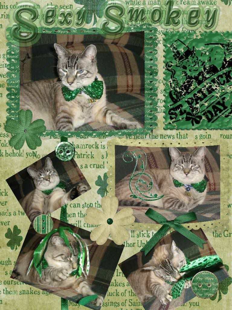 Cat,Scrapbook,st patricks day