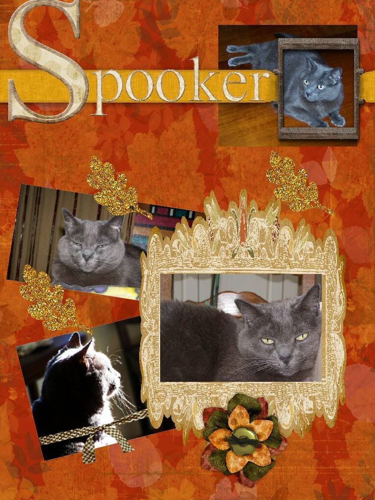 Cat,scrapbook