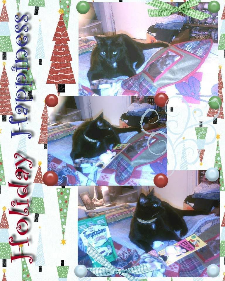 black cat,Diamond,Christmas