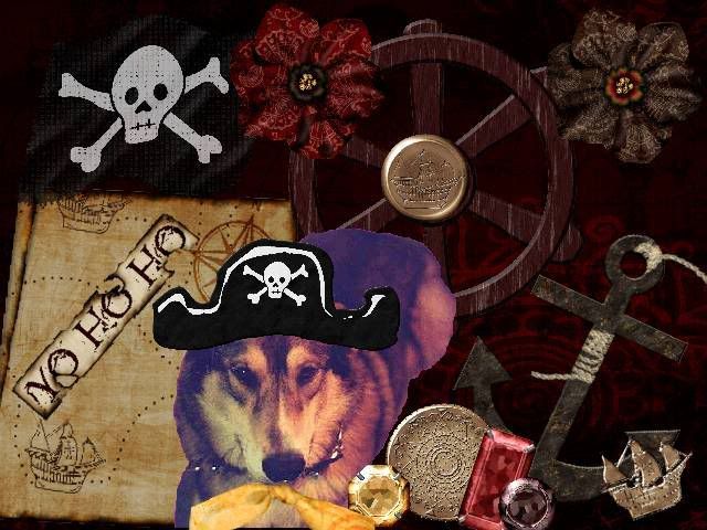 The Dread Pirate Tavi