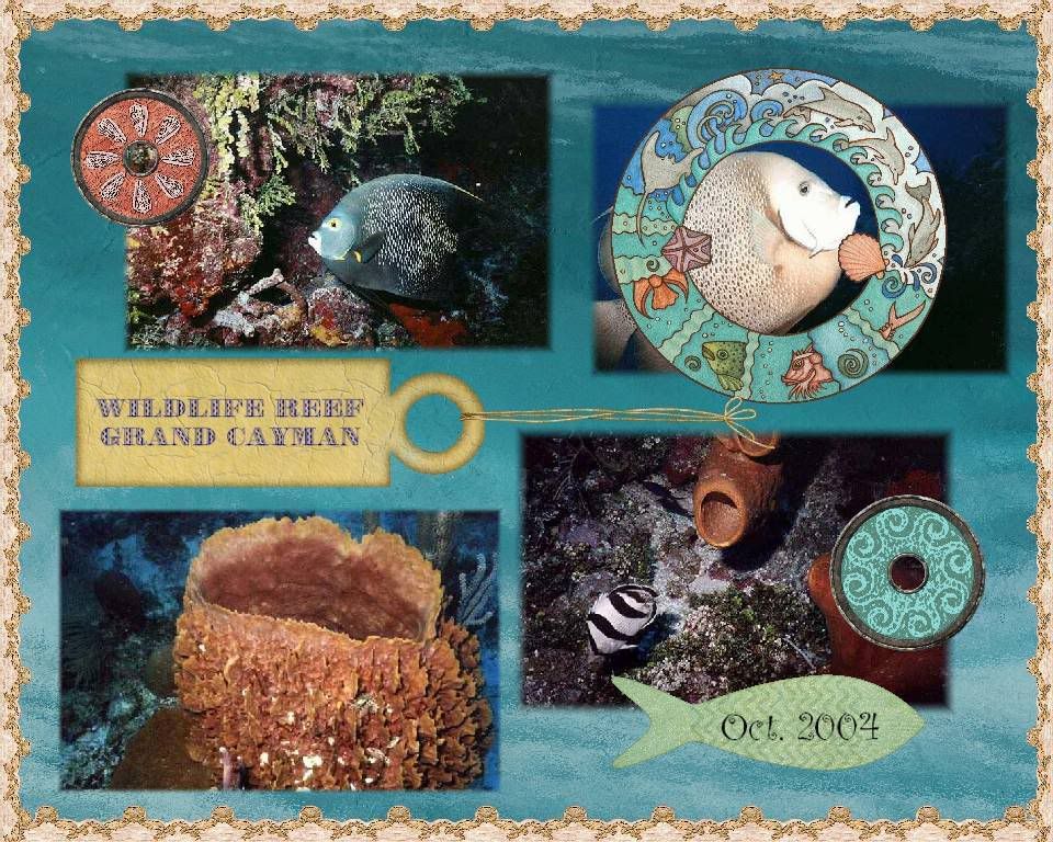 Wildlife Reef