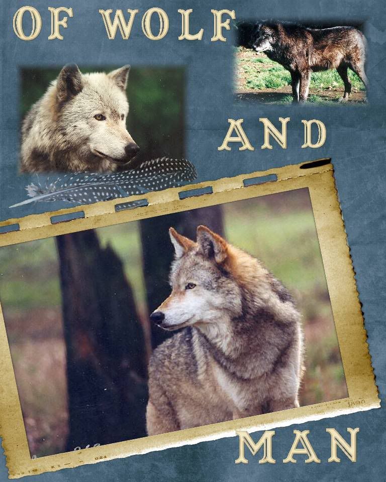 wolf,Scrapbook