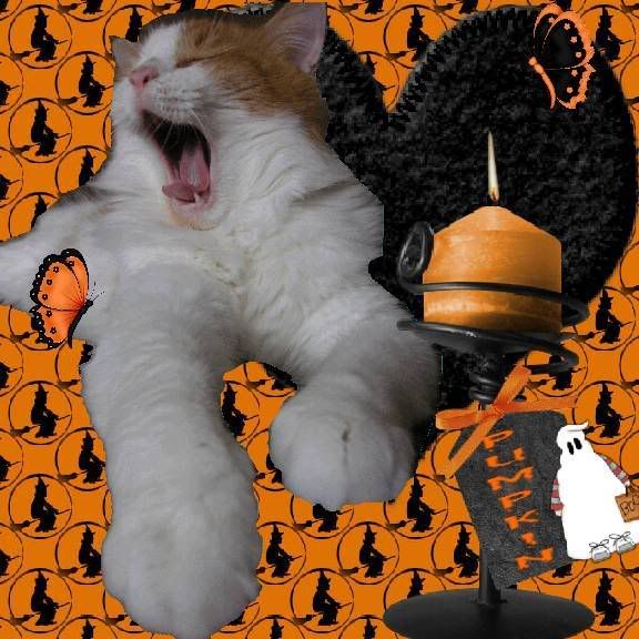 Cat,Howl-N-Scream