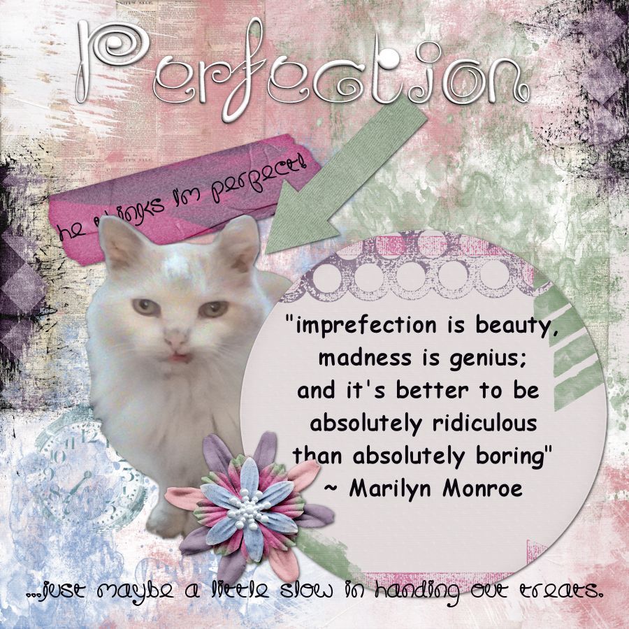 Purr-fection