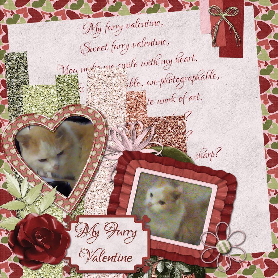 photo SweetFurryValentine_02182016.jpg