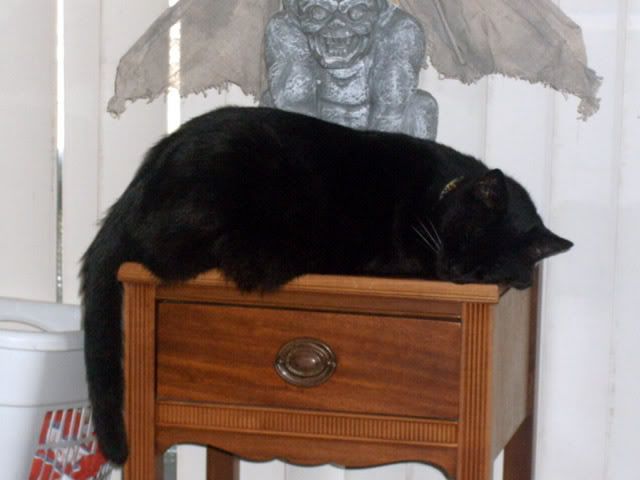 nappervising