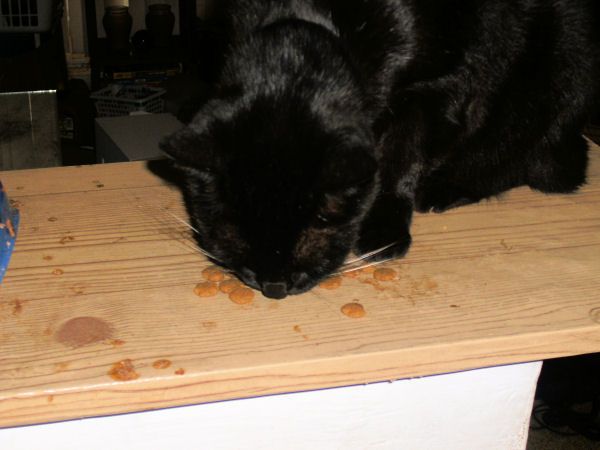 Nom, Nom, Nom