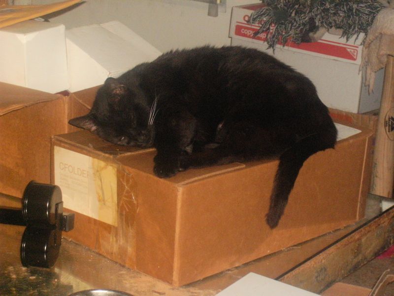 Box Thief!