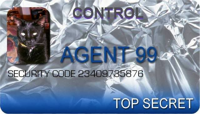 Agent 99