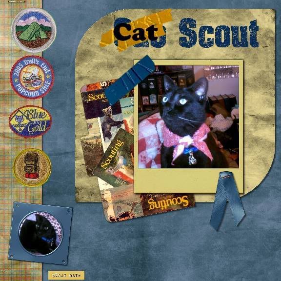 Scout Cat