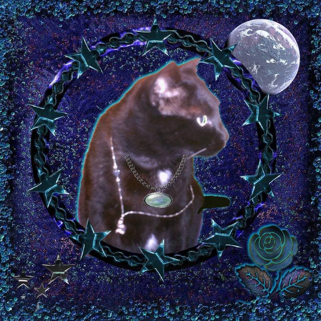 Celestial Cat the Huntress