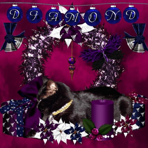 Miss Diamond,Holiday Glitter,Holly Daze,Domestic Cat,House Panther,Happy Holidays,Black Cat