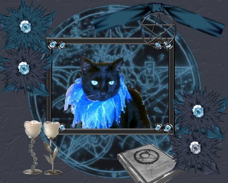 black cat,Diamond
