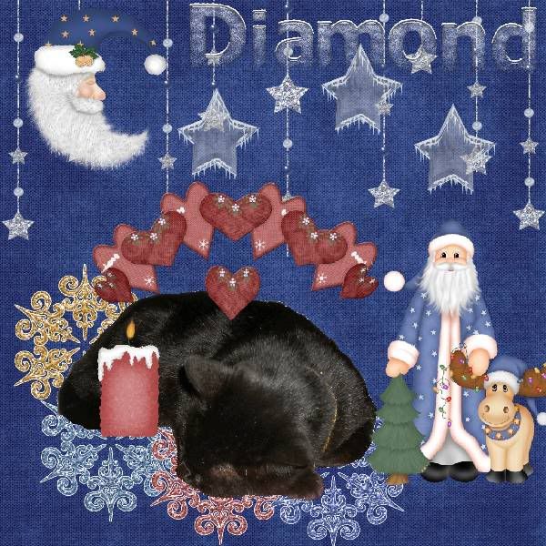 Domestic Cat,Santa,Winter,House Panther,Black Cat,Miss Diamond,Snow,Happy Holidays,Snowcats Project
