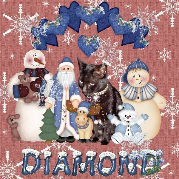 Snowmen,Santa,Miss Diamond,Domestic Cat,House Panther,Winter,Snow,Happy Holidays
