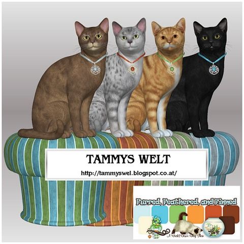 Tammy's Welt