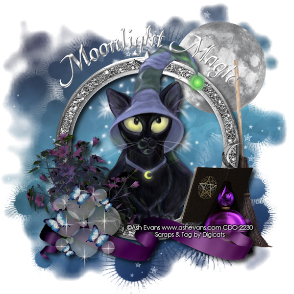 Moonlight Magic Blog Train photo MoonlightMagic_05152013.png