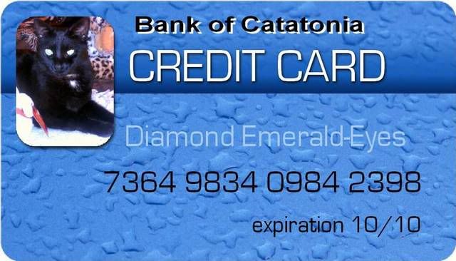 Diamond Credit Card