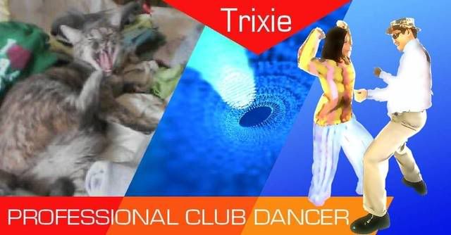 Trixie ID