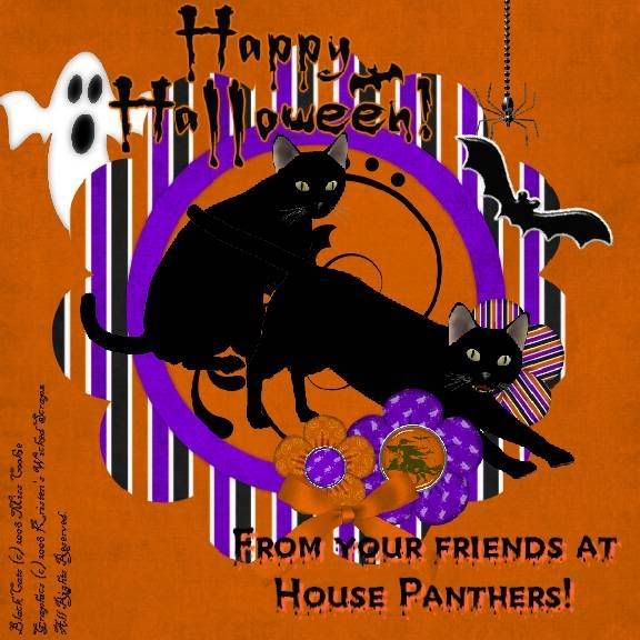 Howl-N-Scream,House Panther