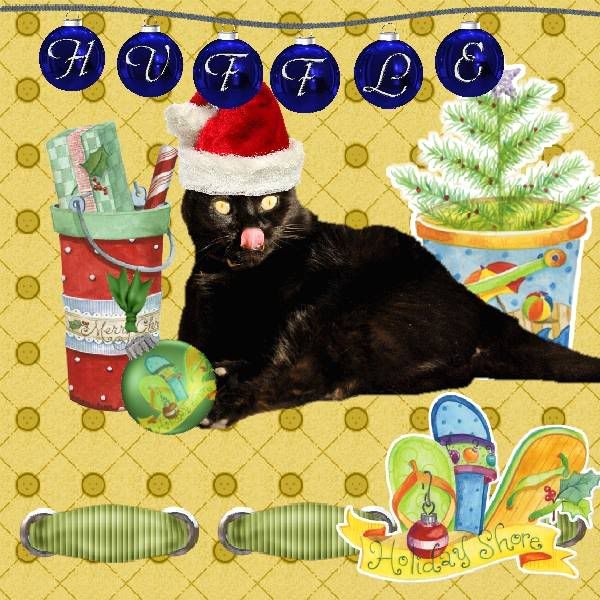 House Panther,Domestic Cat,Happy Holidays,Holly Daze,Santa