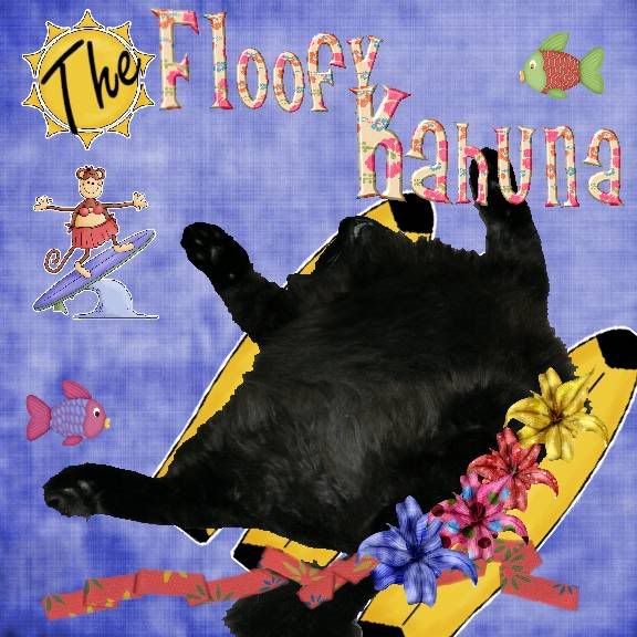 The Floofy Kahuna