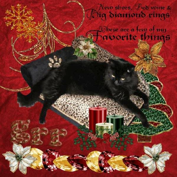 House Panther,Grr,Domestic Cat,Black Cat,Holiday Glitter