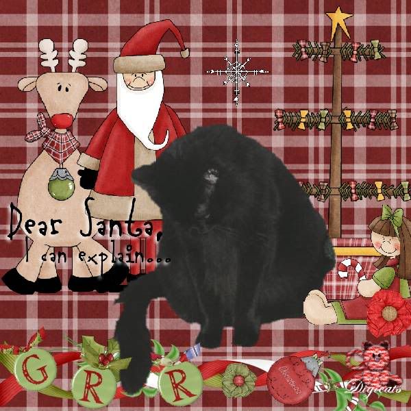 Grr,House Panther,Domestic Cat,Christmas