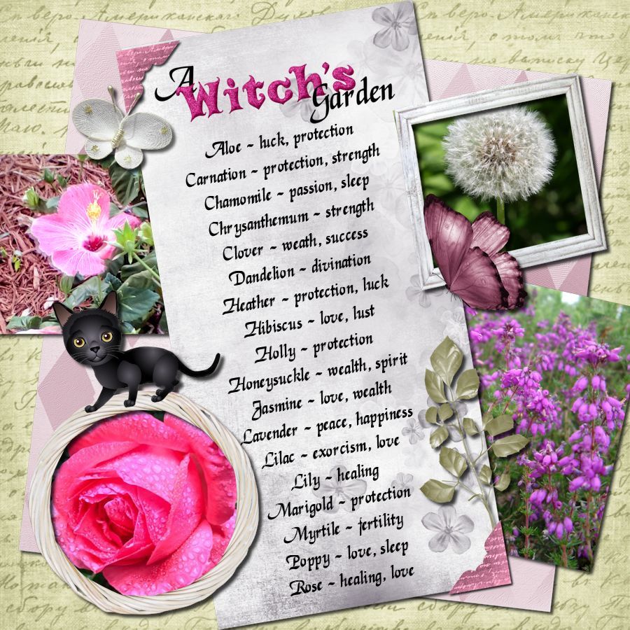 A Witch's Garden