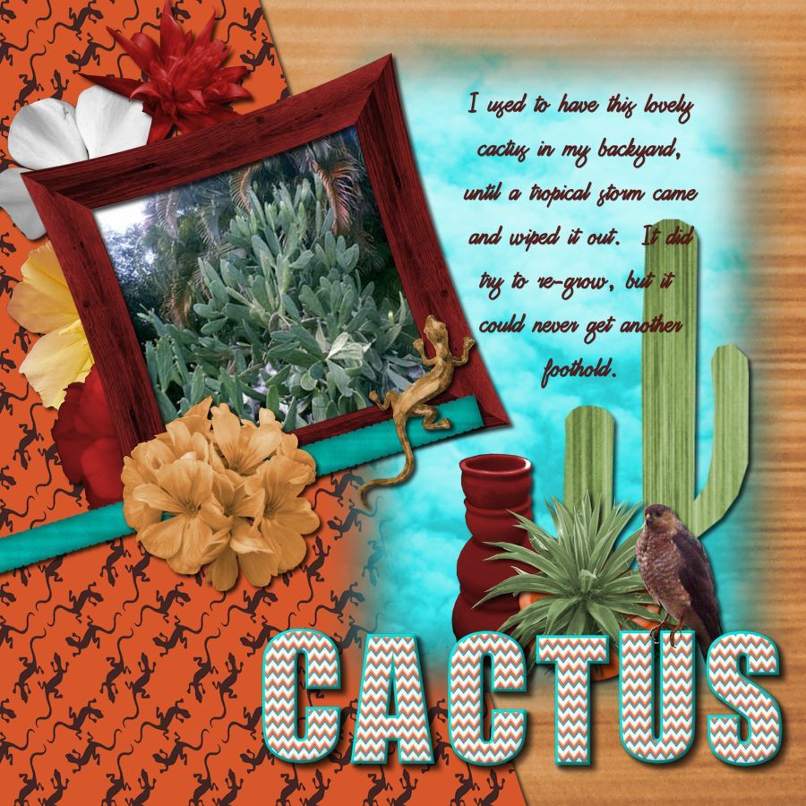 Tropical Cactus