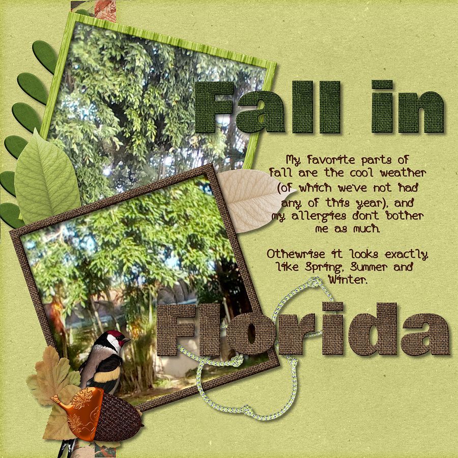 Fall In Florida