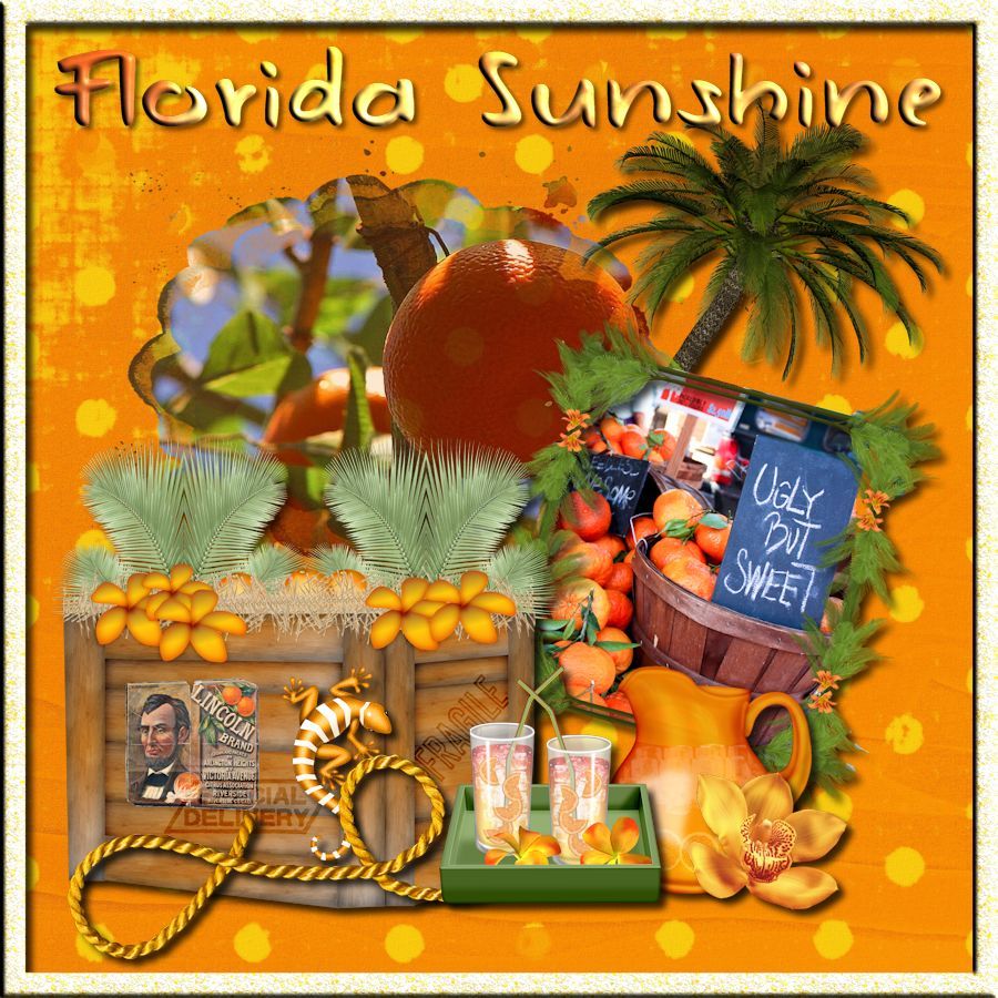 Florida Sunshine