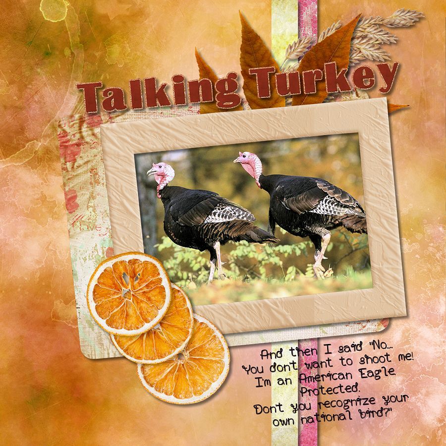 Talking Turkey