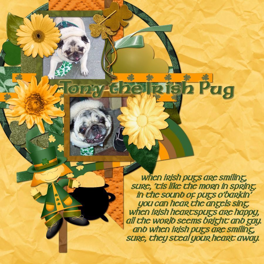 When Irish Pugs are Smiling